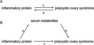 Genetically predicted serum metabolites mediate the association between inflammatory proteins and polycystic ovary syndrome: a Mendelian randomization study